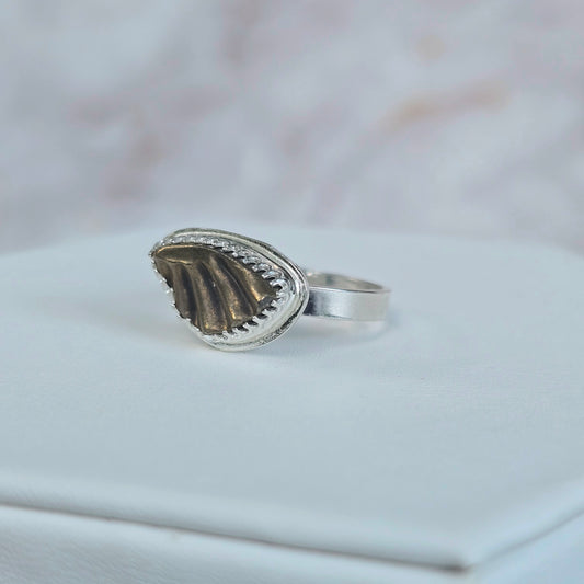 Fossilized Ammonite Ring (Size 8.5)