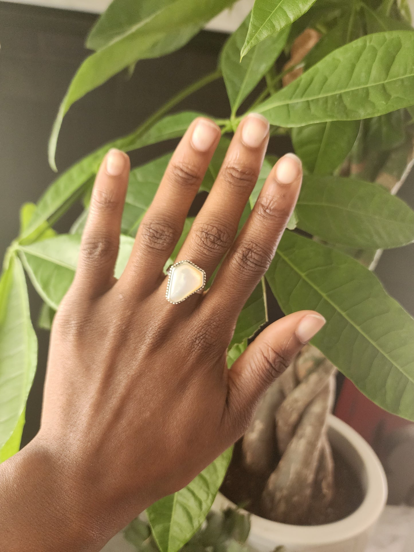 Mother of Pearl Coffin Ring